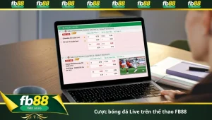 cược bóng đá Live trên thể thao FB88
