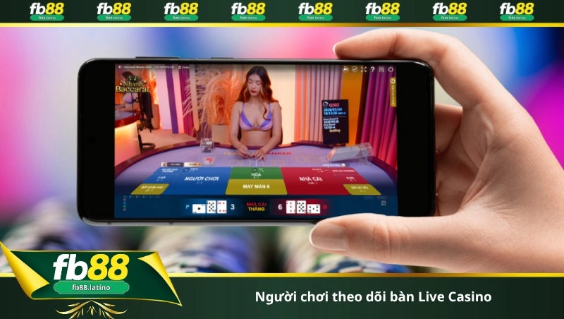 Người chơi theo dõi bàn Live Casino