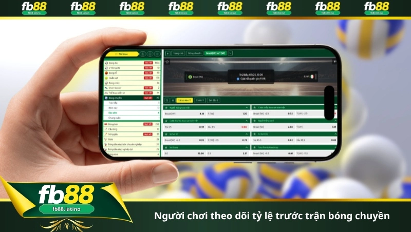 Người chơi theo dõi tỷ lệ trước trận bóng chuyền