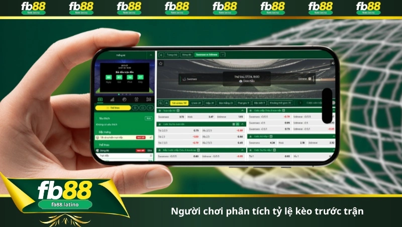 Người chơi phân tích tỷ lệ kèo trước trận
